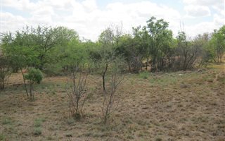 970 m² Land available in Pebble Rock