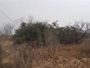 2961 m² Land available in Hectorspruit