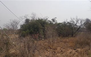 2961 m² Land available in Hectorspruit