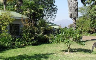 11 ha Farm in Barberton