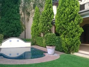 1 Bed Apartment in Pineslopes