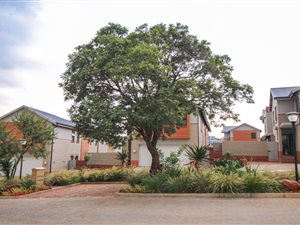 3 Bed Cluster in The Hills