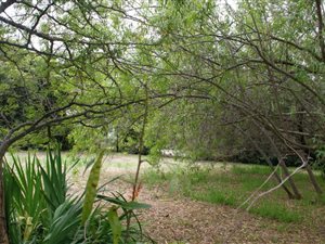 1235 m² Land available in Riebeek West
