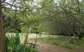 1235 m² Land available in Riebeek West