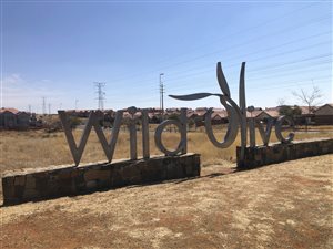 1124 m² Land available in Wild Olive Estate