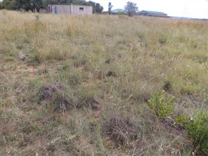2.6 ha Farm in Valtaki