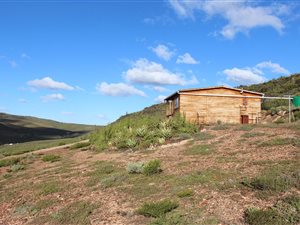 17 ha Farm in Joubertina