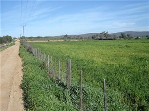 17 ha Farm in Oudtshoorn