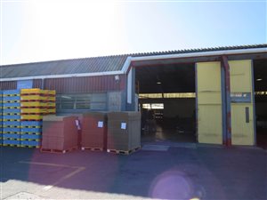 350 m² Industrial space in Retreat