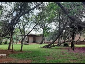 8 ha Farm in Rosslyn