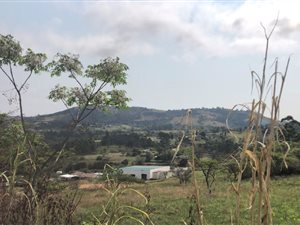 4.9 ha Land available in Cliffdale