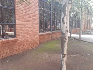 89 m² Office Space in Die Hoewes