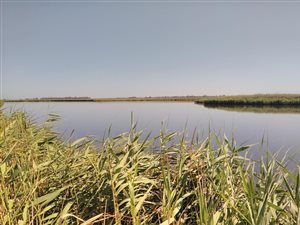 663.4 ha Farm in Malmesbury