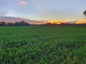 2 ha Farm in Douglas