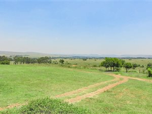 5 Bedroom House in Erasmia