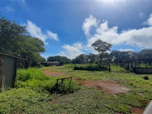 18 ha Farm in Northam