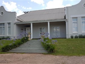 4 Bed House in Greytown