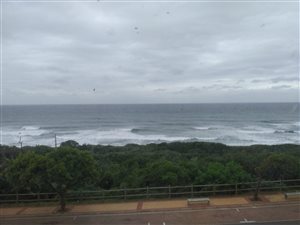 1 Bed Apartment in Warner Beach