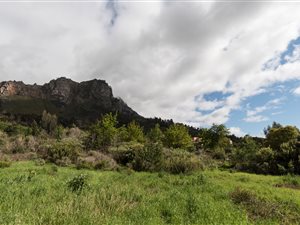 2 ha Farm in Stellenbosch Agricultural