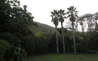 1592 m² Land available in Onrus