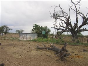 485 ha Farm in Piet Plessis