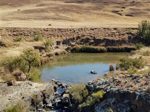 690 ha Farm in Harrismith