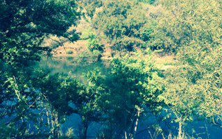 7000 m² Land available in Kshane Lake Lodge