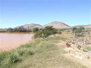 851 ha Farm in Steytlerville