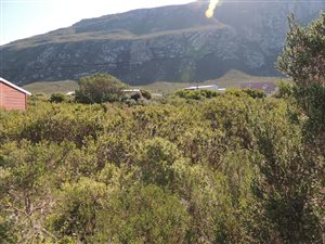 1197 m² Land available in Bettys Bay