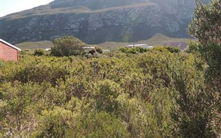 1197 m² Land available in Bettys Bay