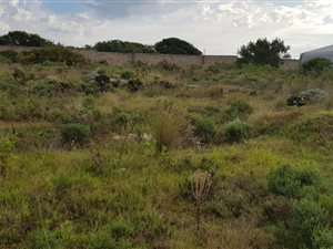 Industrial space in Mossel Bay Central