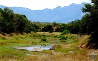 2897 m² Land available in Zandspruit Bush and Aero Estate
