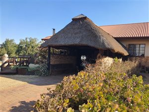 250 ha Farm in Bainsvlei