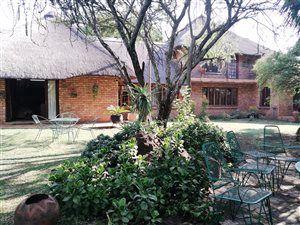86 ha Farm in Buffelsdrift