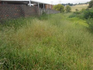 1200 m² Land available in Rothdene