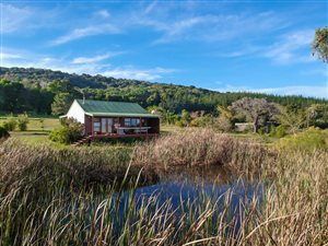 1.8 ha Farm in Rheenendal