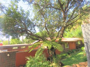5 Bed House in Meyerspark