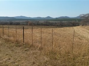 21.4 ha Farm in Barberton