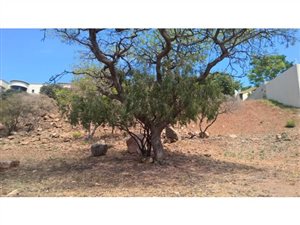593 m² Land available in Zinniaville