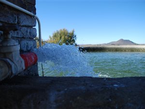 44 ha Farm in Middelburg
