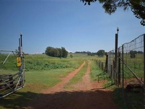 12 ha Farm in Heidelberg Central