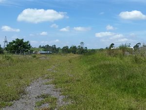 2 ha Land available in Camperdown