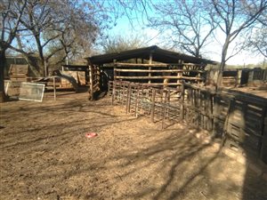 8.5 ha Farm in Pretoria North