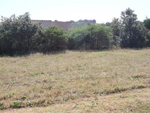258 m² Land available in Cosy Corner