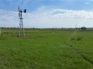 4 ha Farm in Heidelberg Central