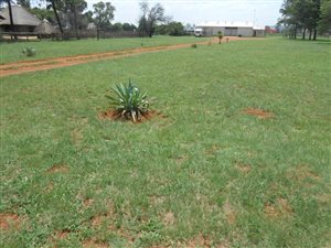 7000 m² Land available in Highbury