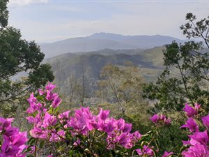 23 ha Farm in Klein Brak River