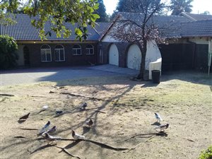 3 Bed House in Del Judor