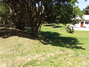 50 m² Land available in Mtwalume