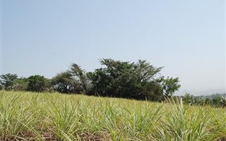 7 ha Farm in Shakas Rock